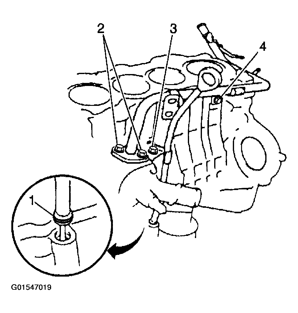 G01547019