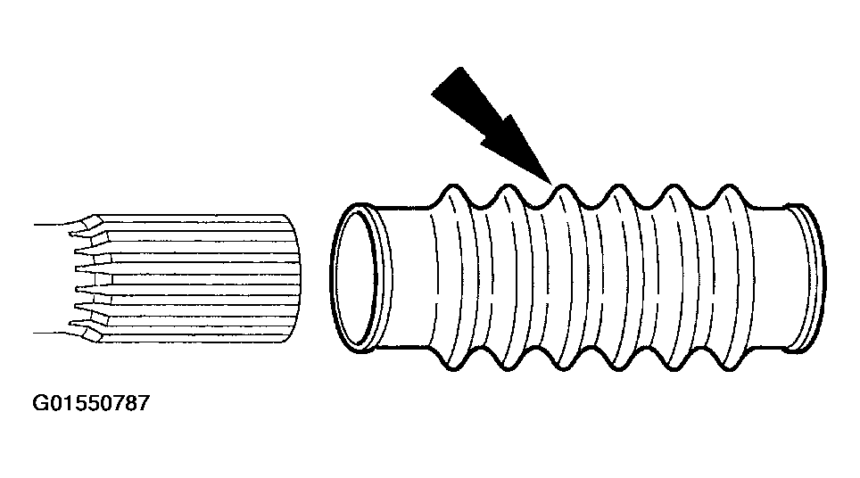 G01550787