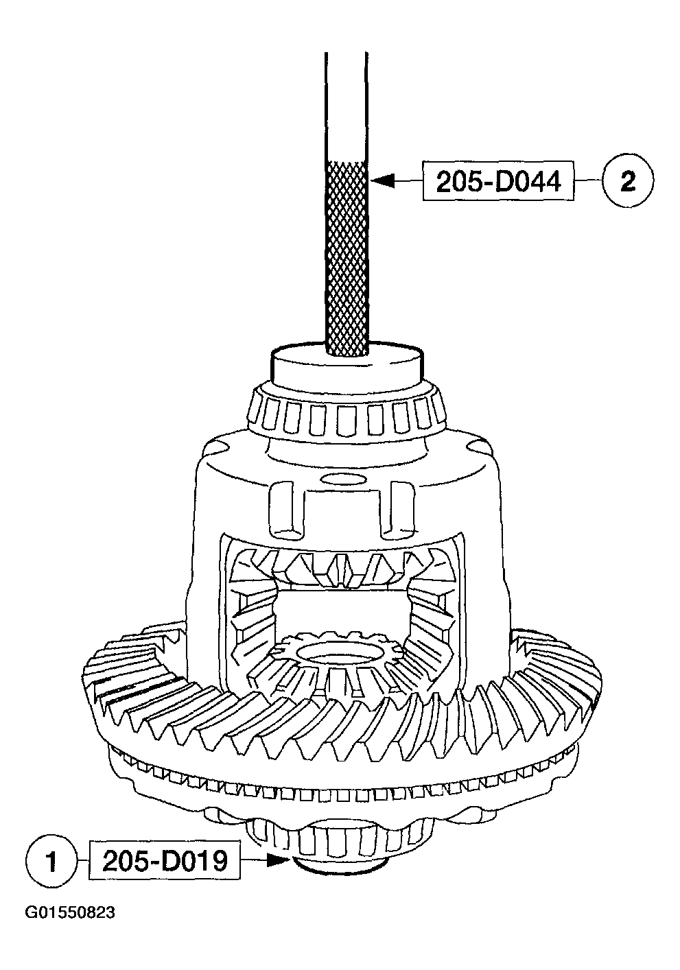 G01550823