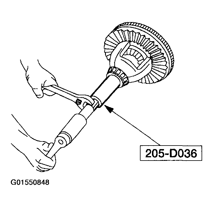 G01550848
