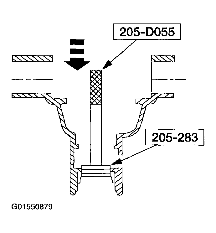 G01550879