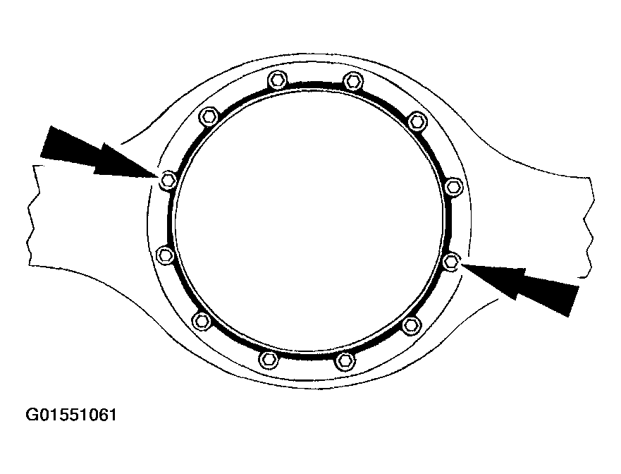 G01551061