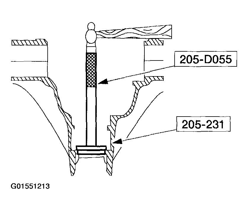 G01551213