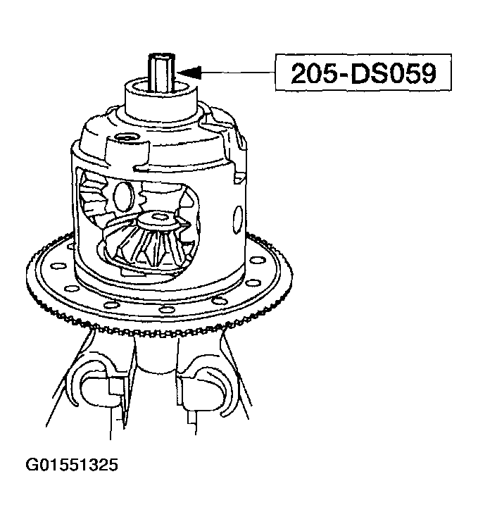 G01551325
