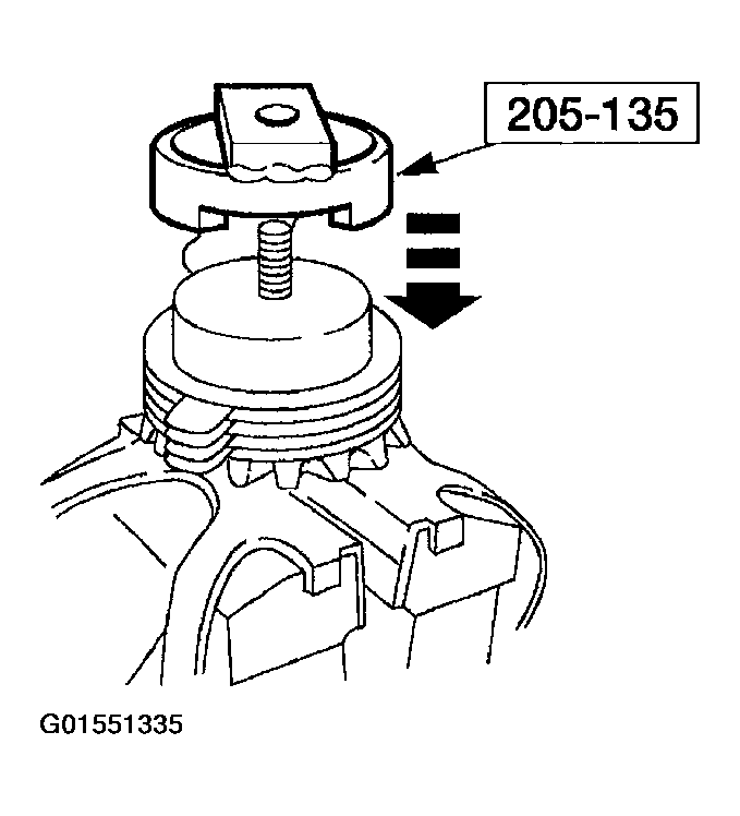 G01551335