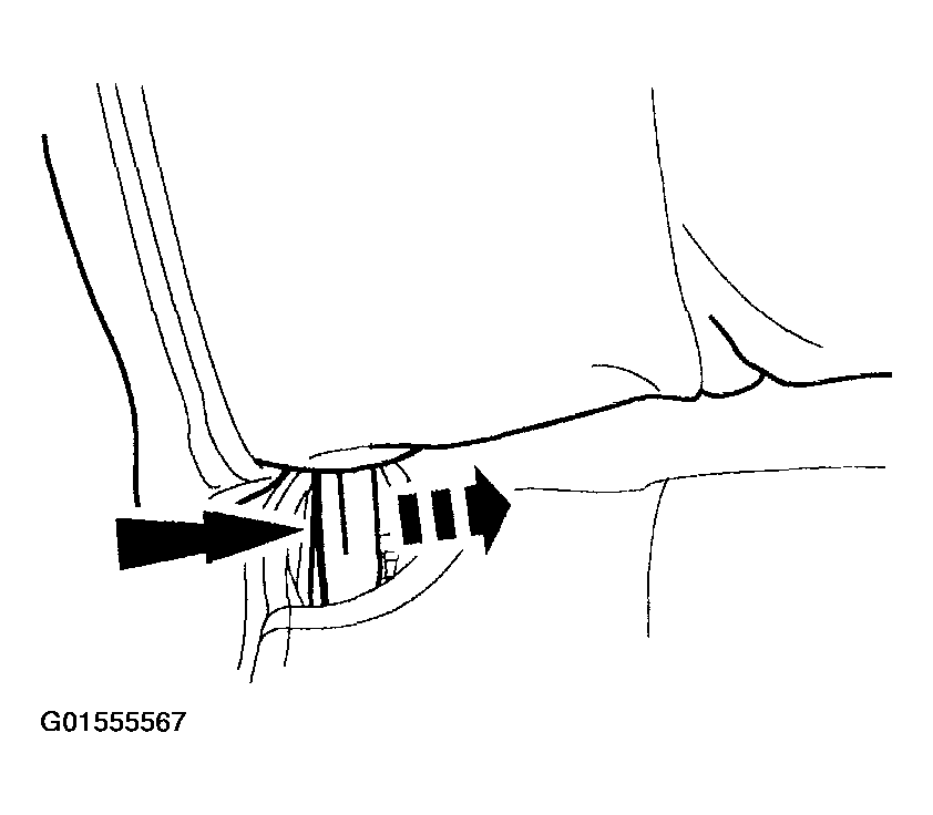 G01555567