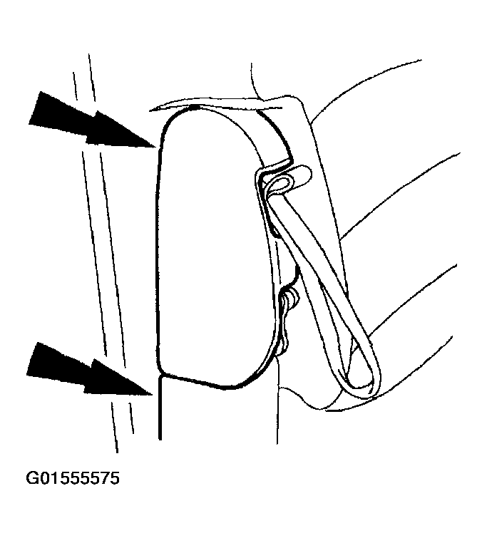 G01555575