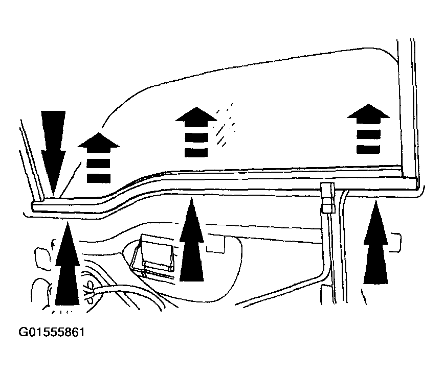 G01555861