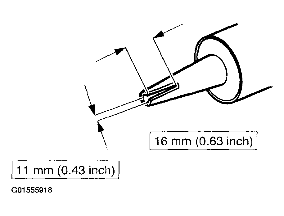 G01555918