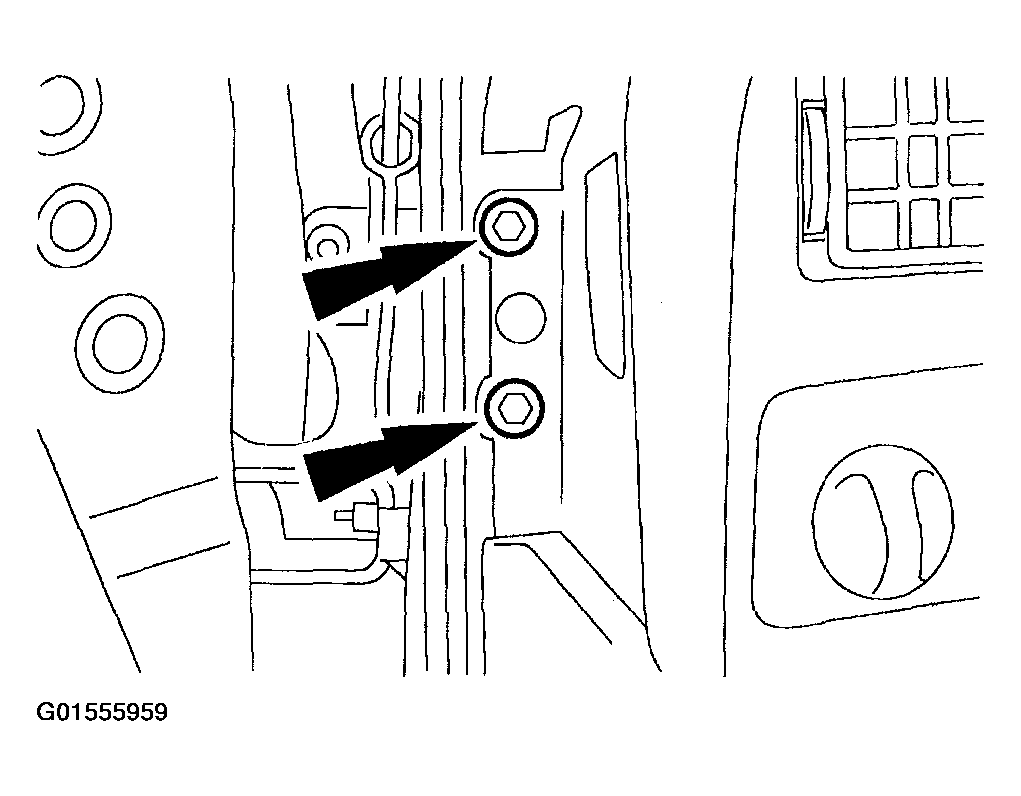 G01555959