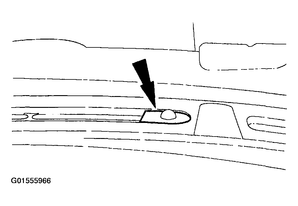 G01555966