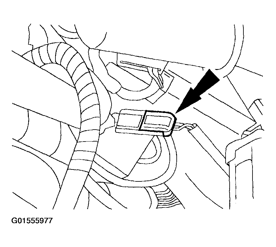 G01555977