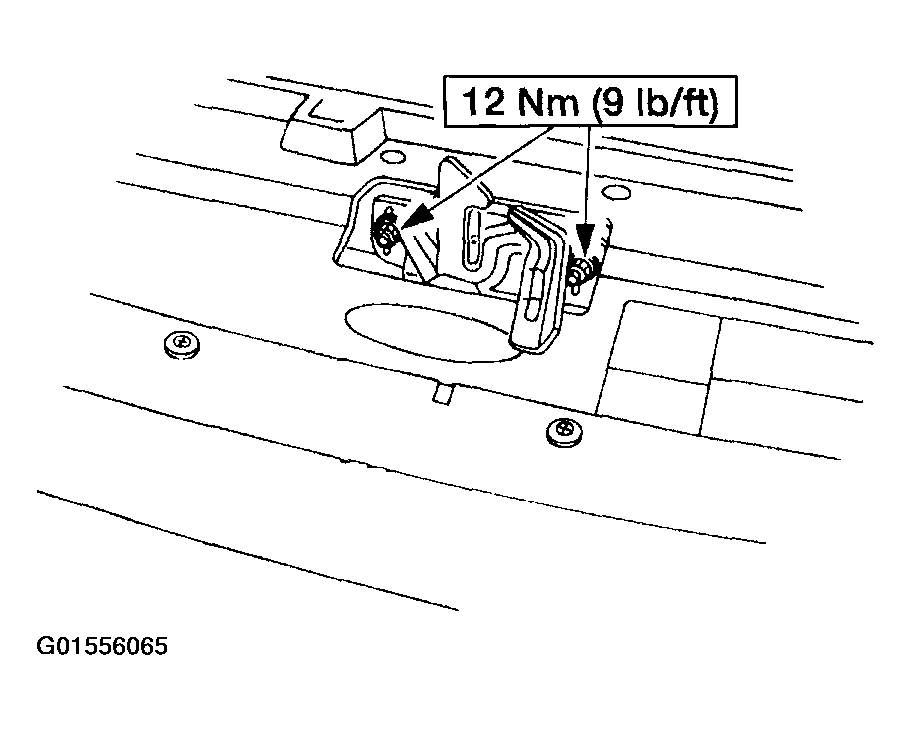 G01556065