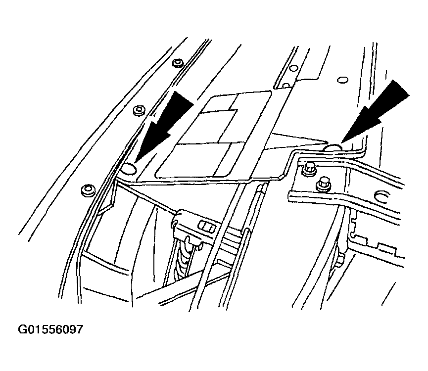 G01556097