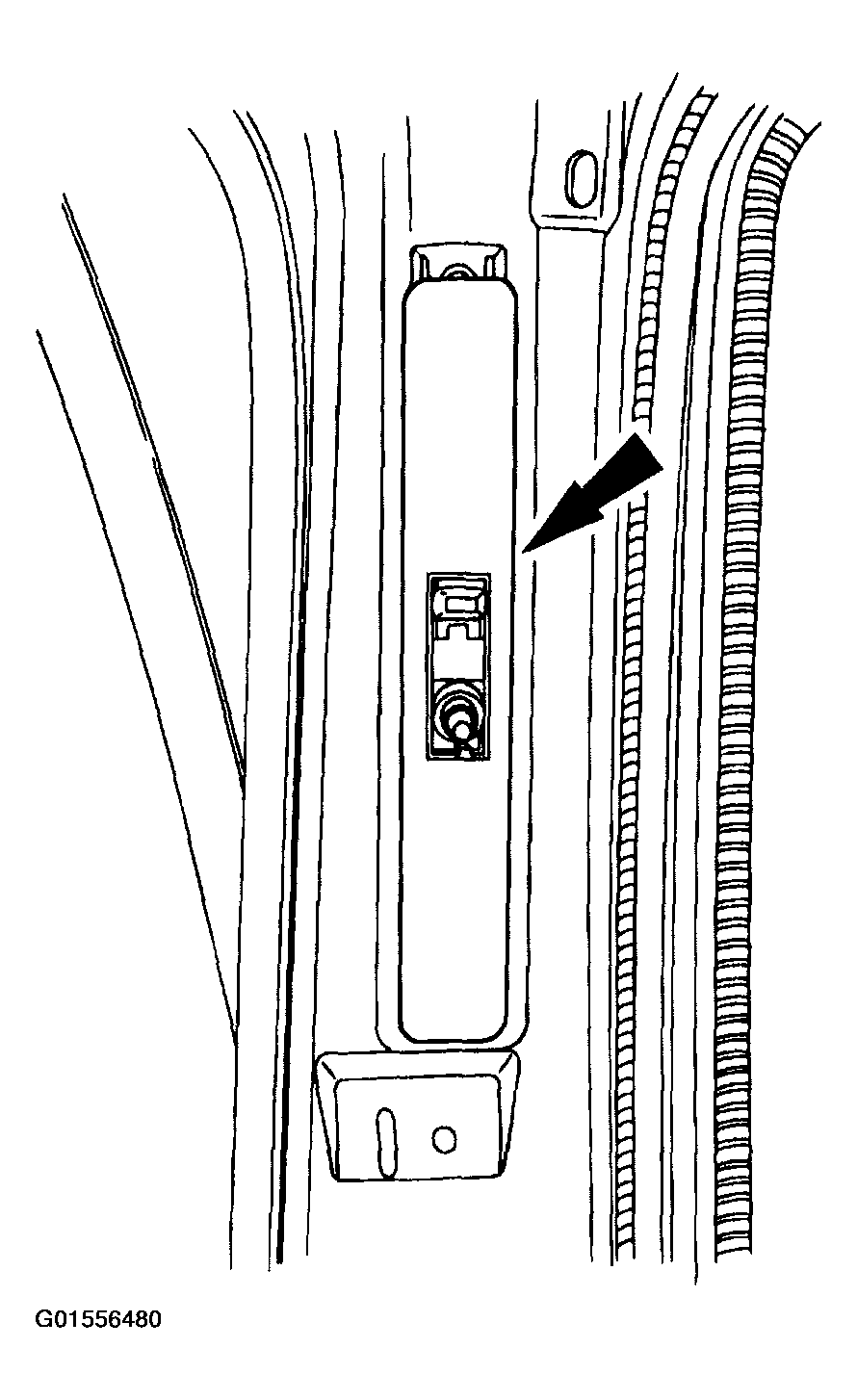 G01556480