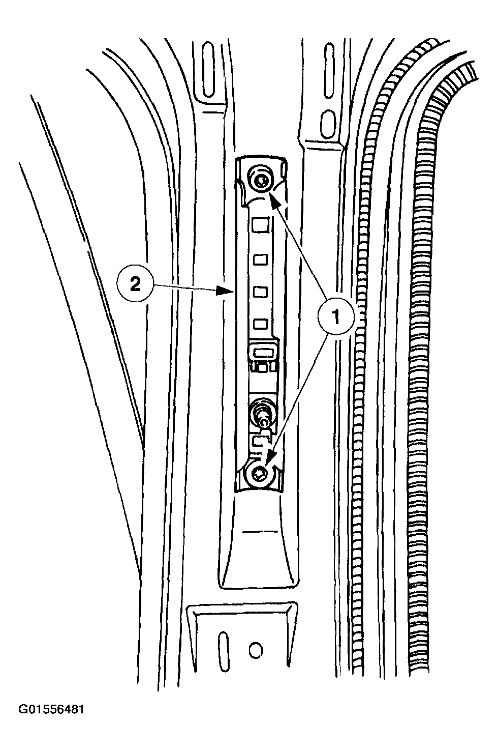 G01556481