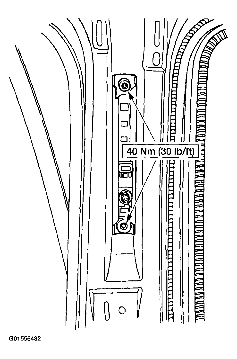 G01556482