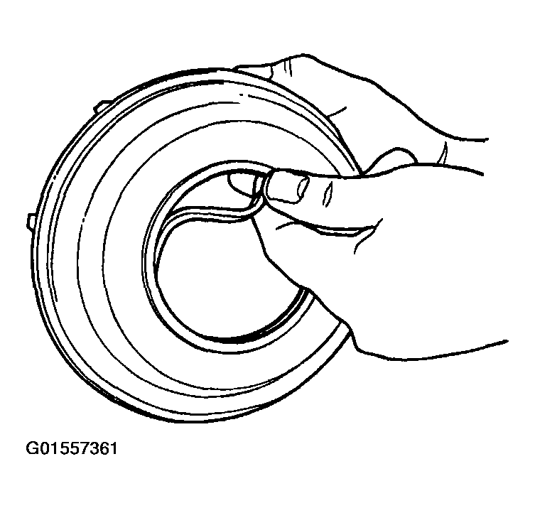 G01557361