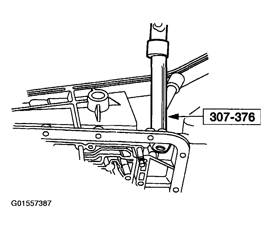 G01557387