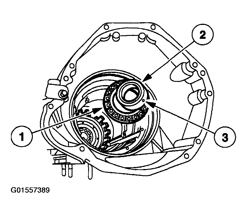 G01557389