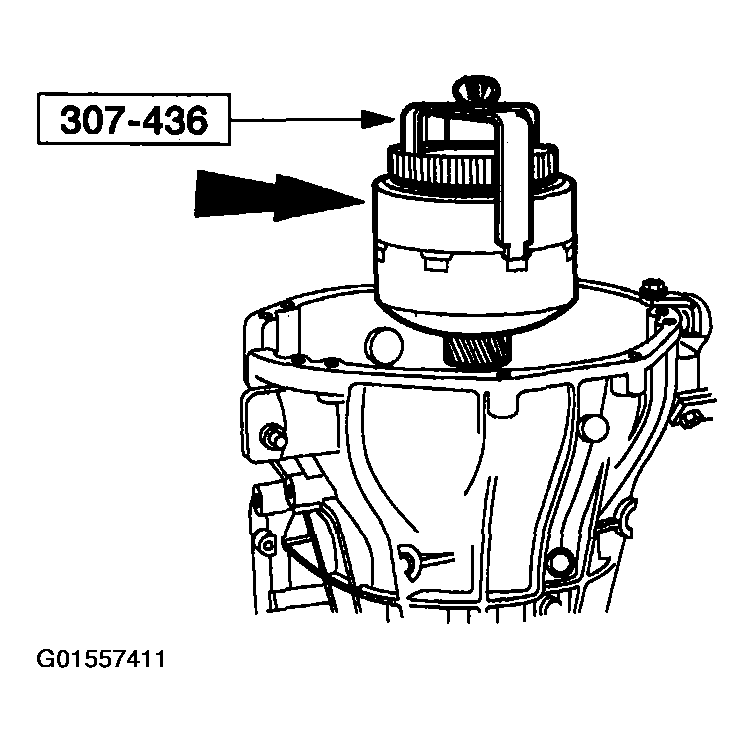 G01557411