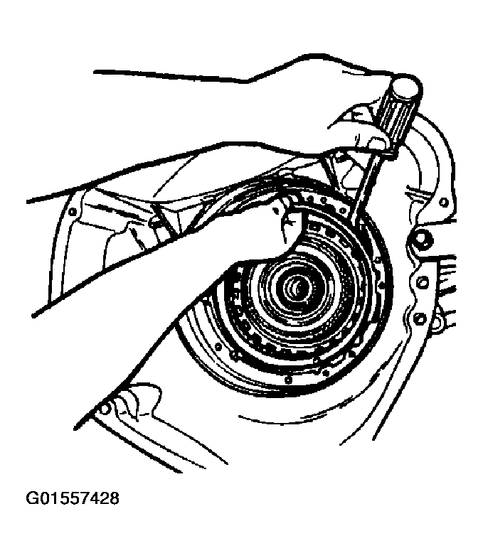 G01557428
