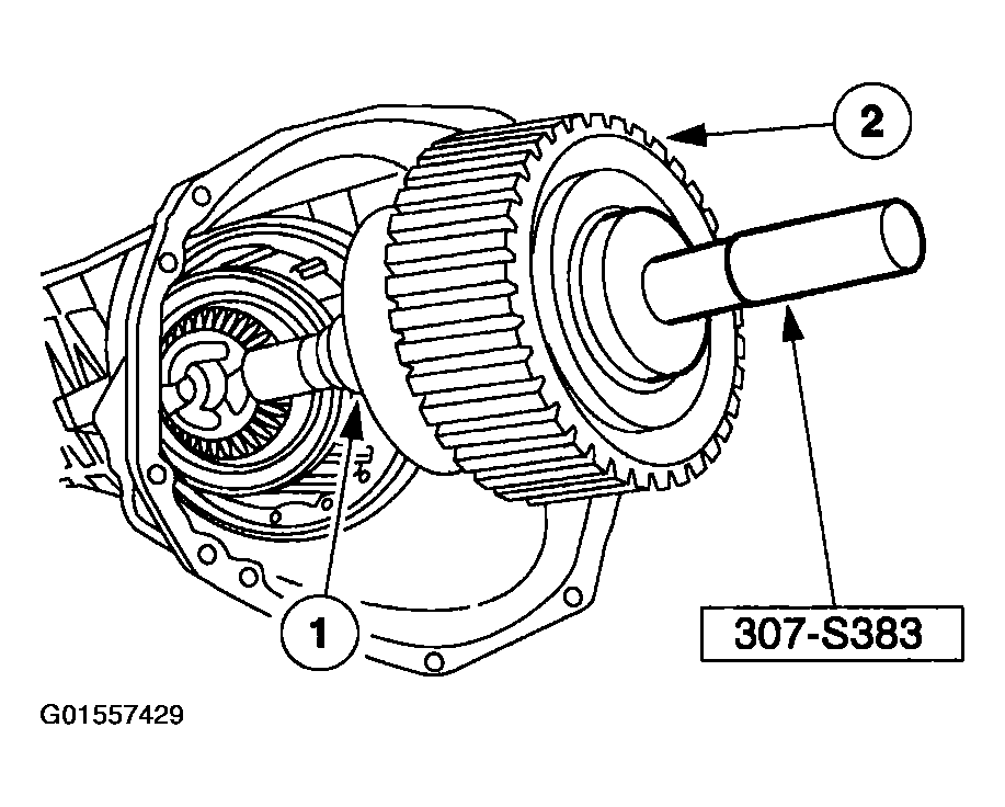 G01557429