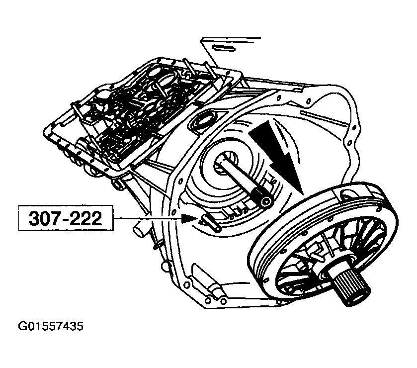 G01557435