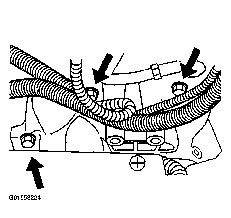 G01558224