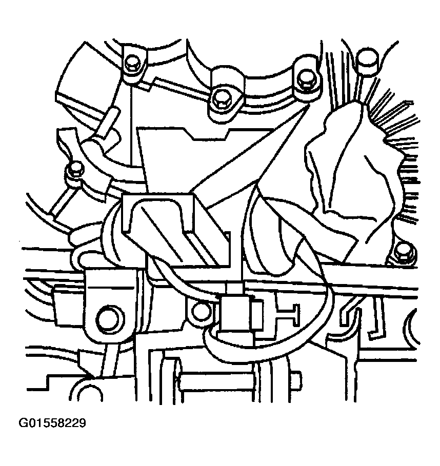G01558229