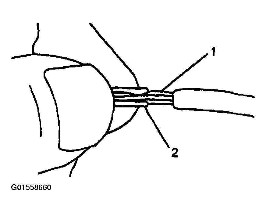 G01558660