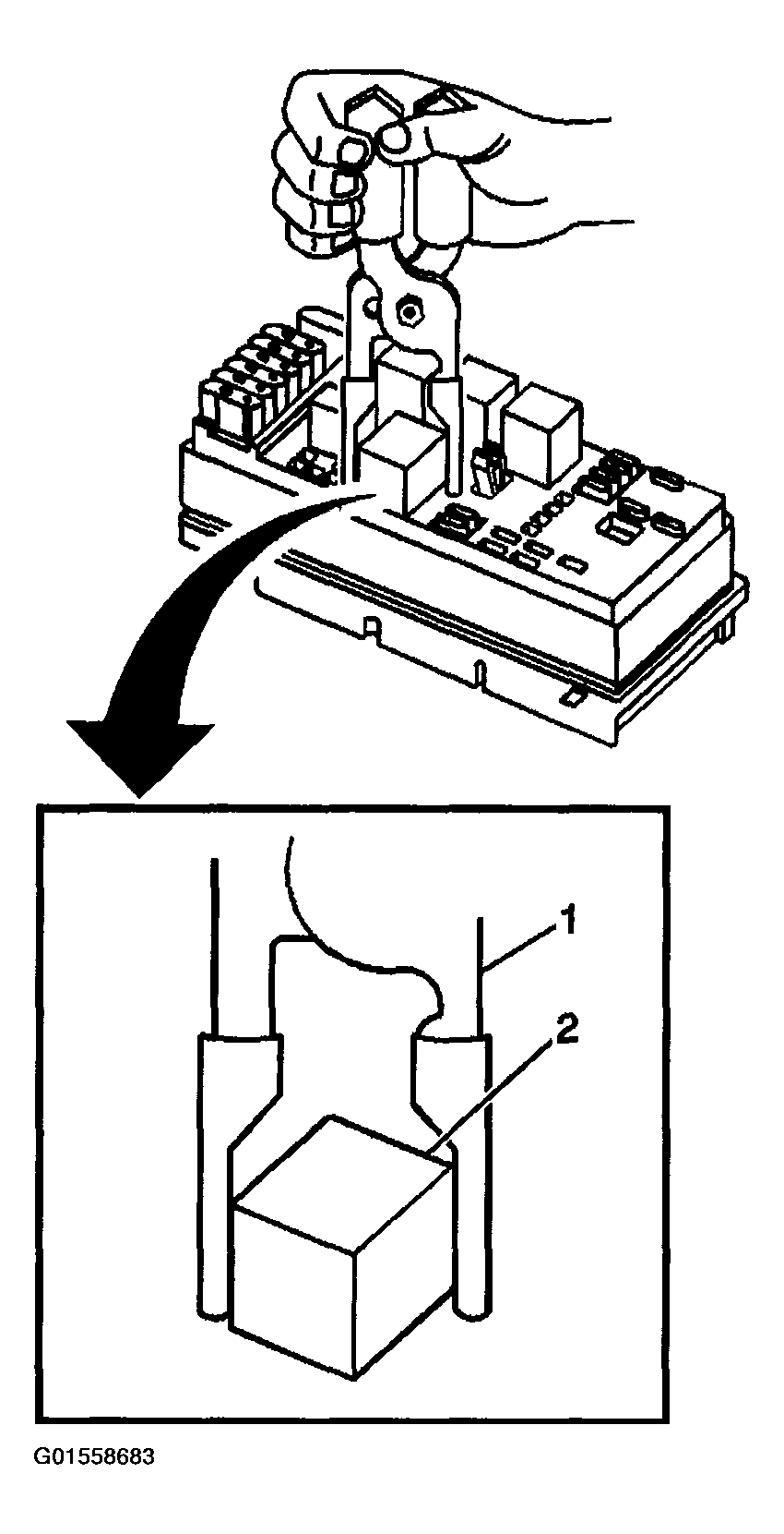 G01558683