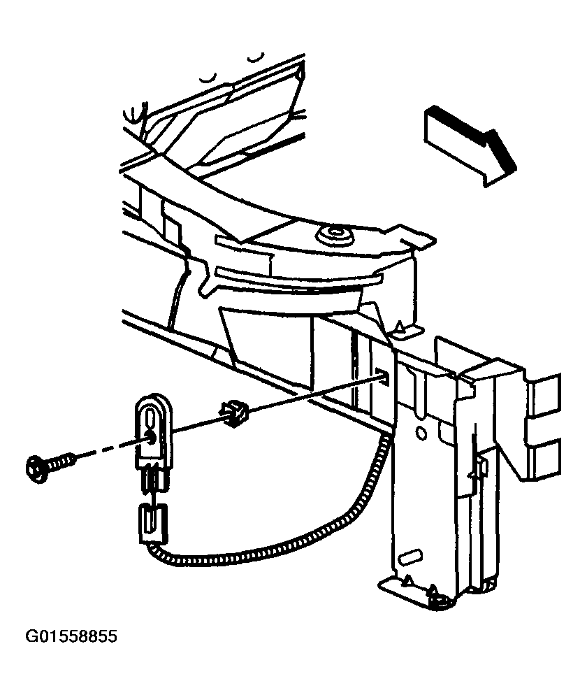 G01558855