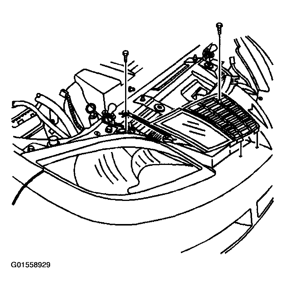G01558929