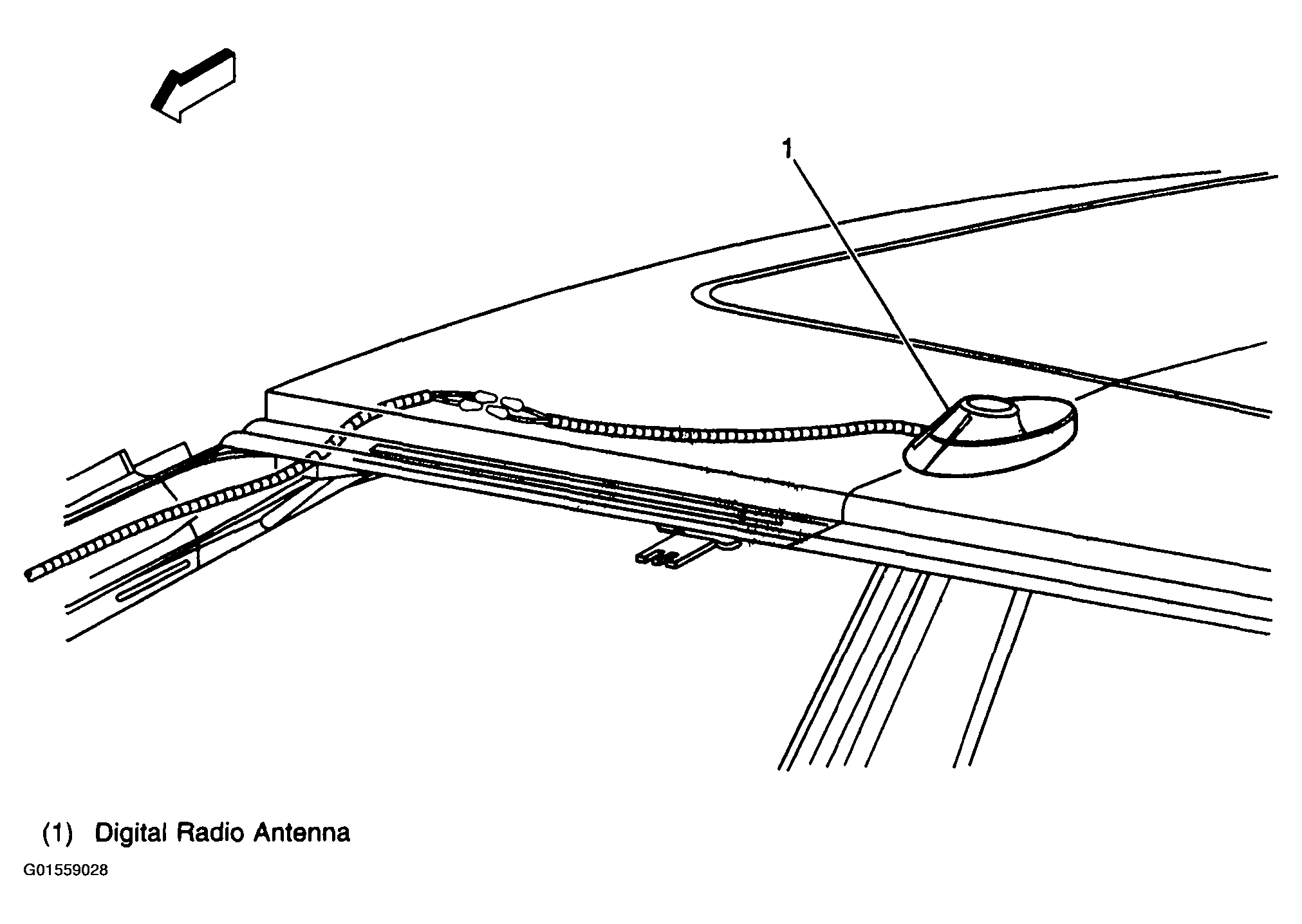 G01559028