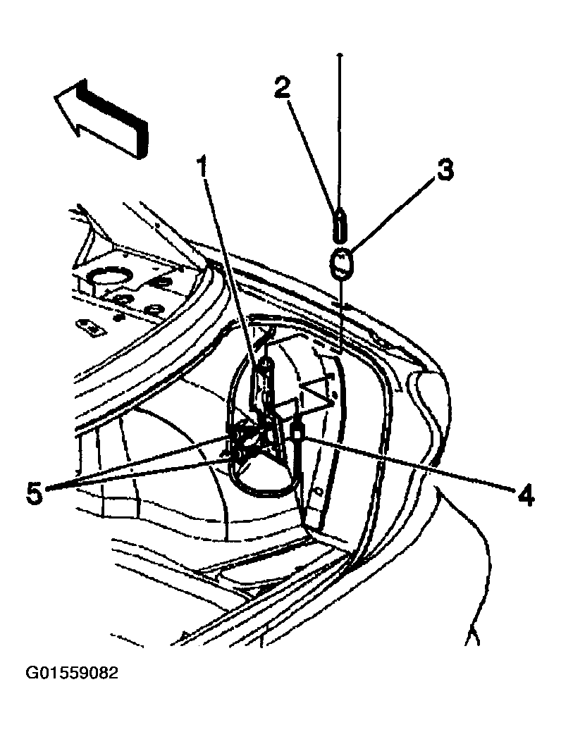 G01559082