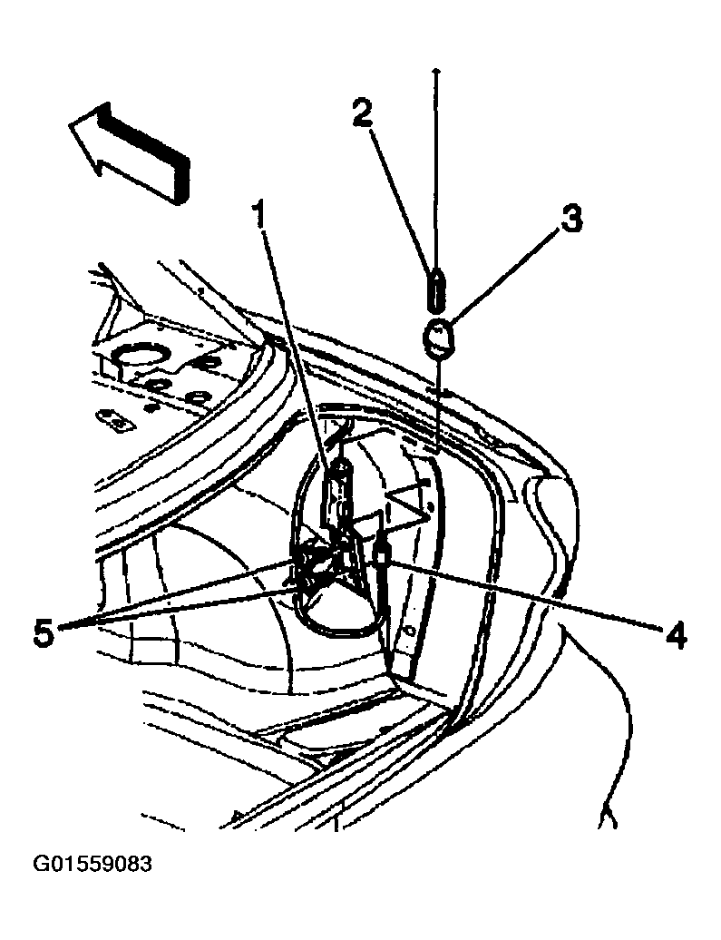 G01559083