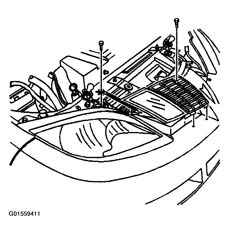 G01559411