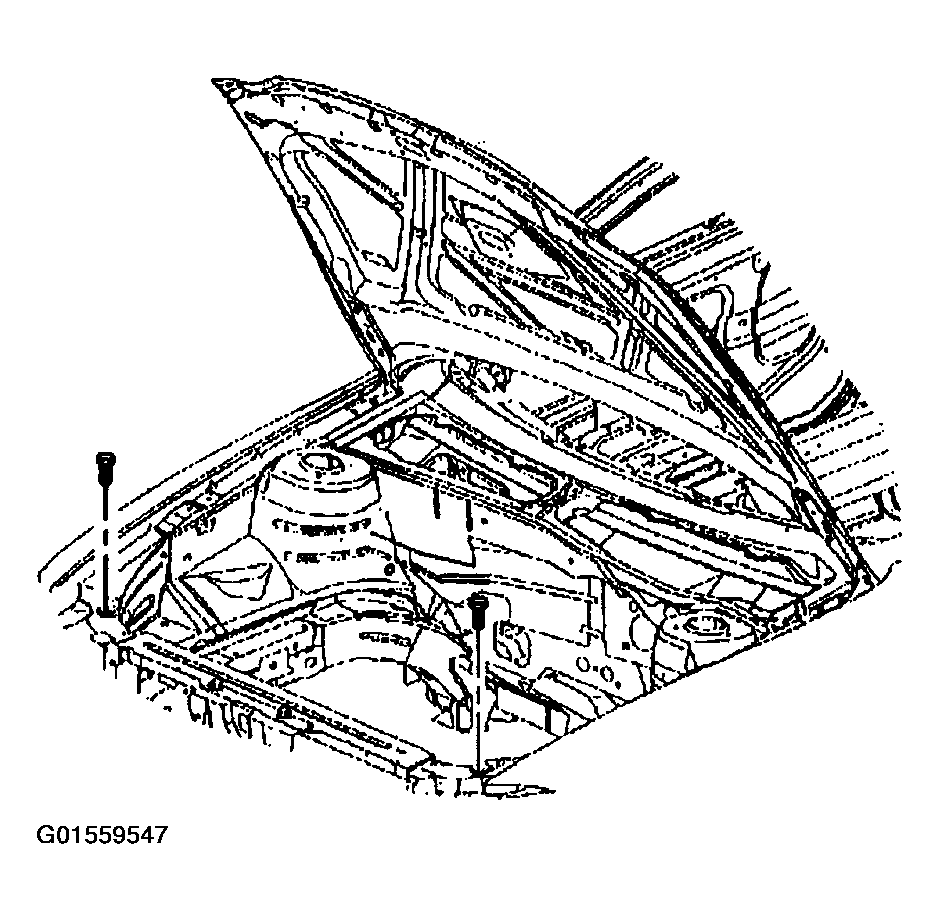G01559547