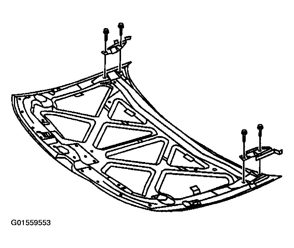 G01559553