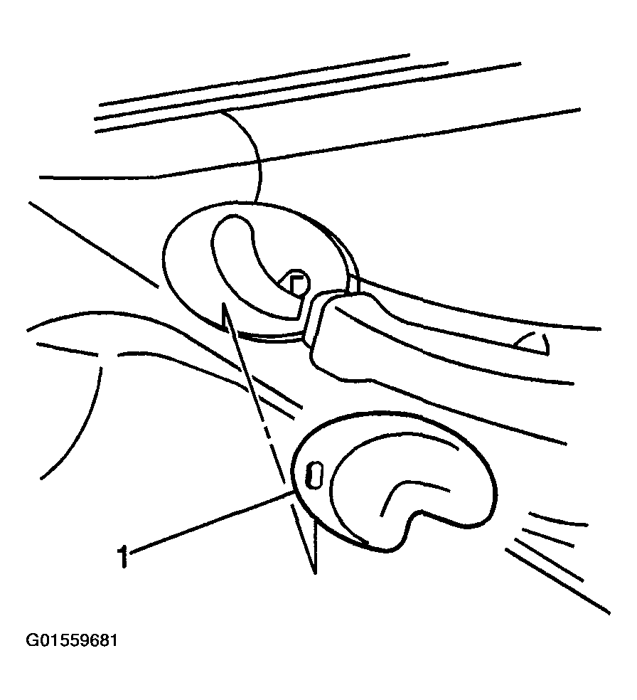 G01559681