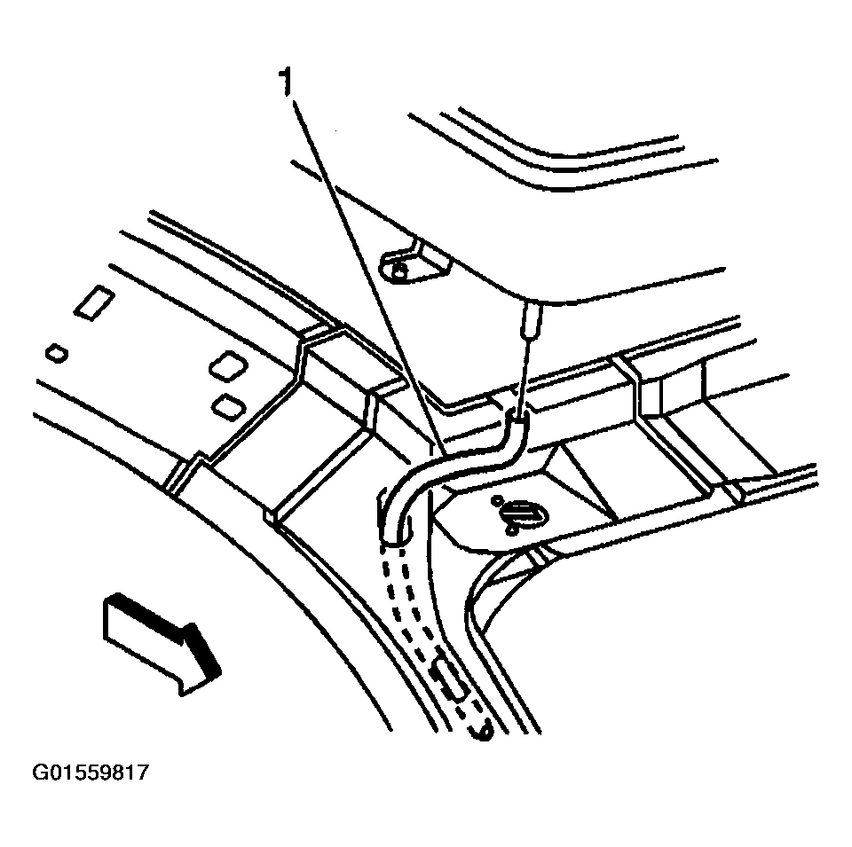 G01559817