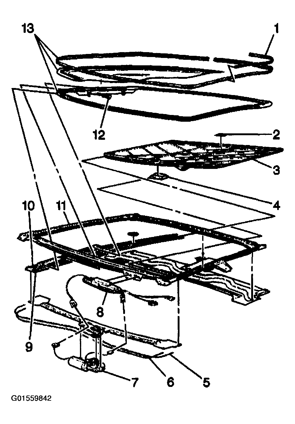 G01559842