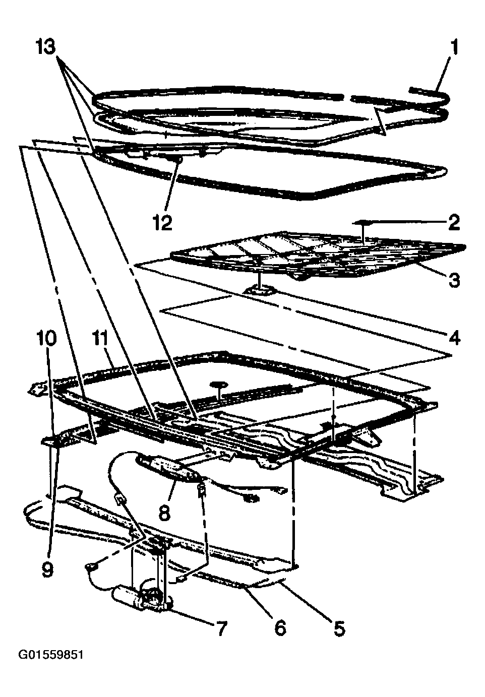 G01559851