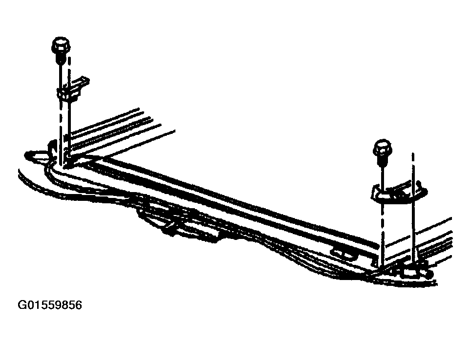 G01559856