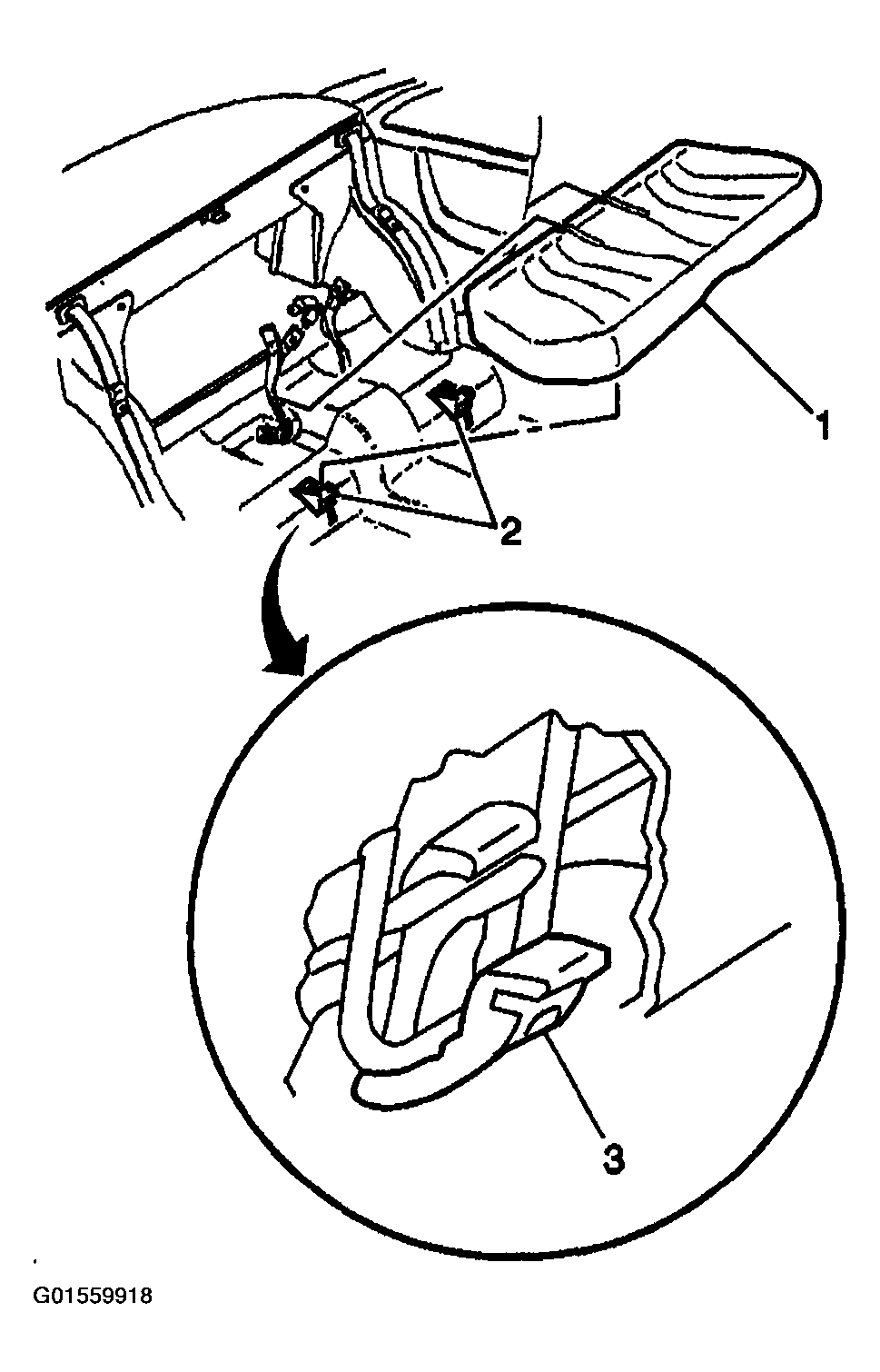 G01559918