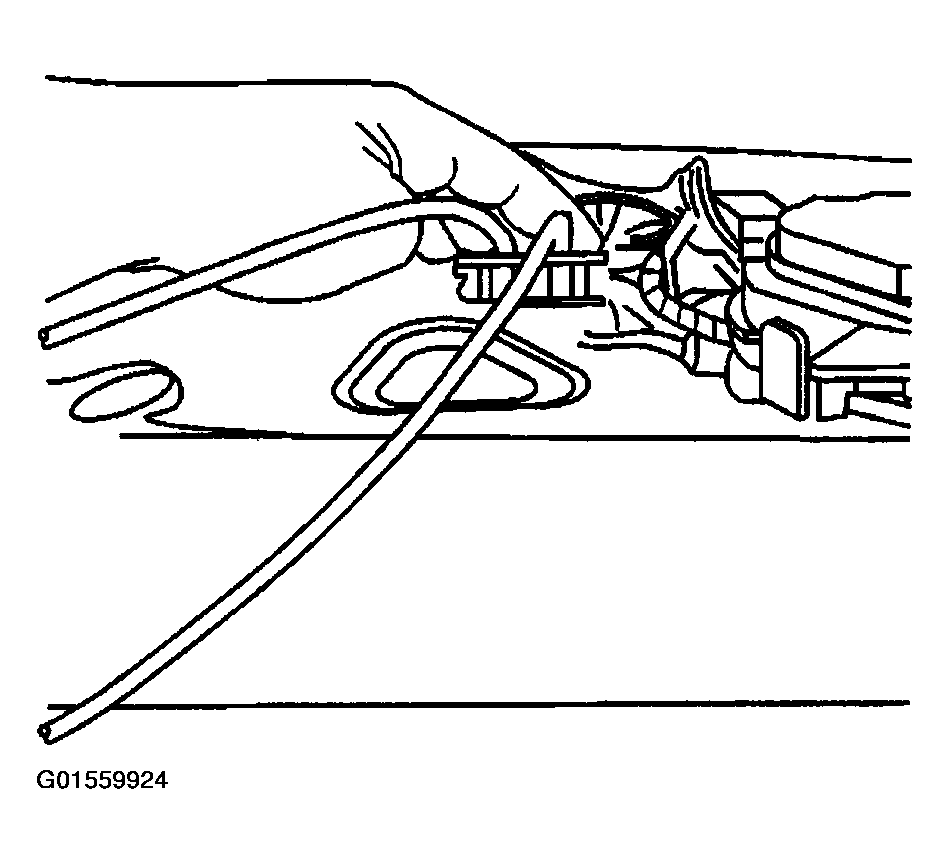 G01559924