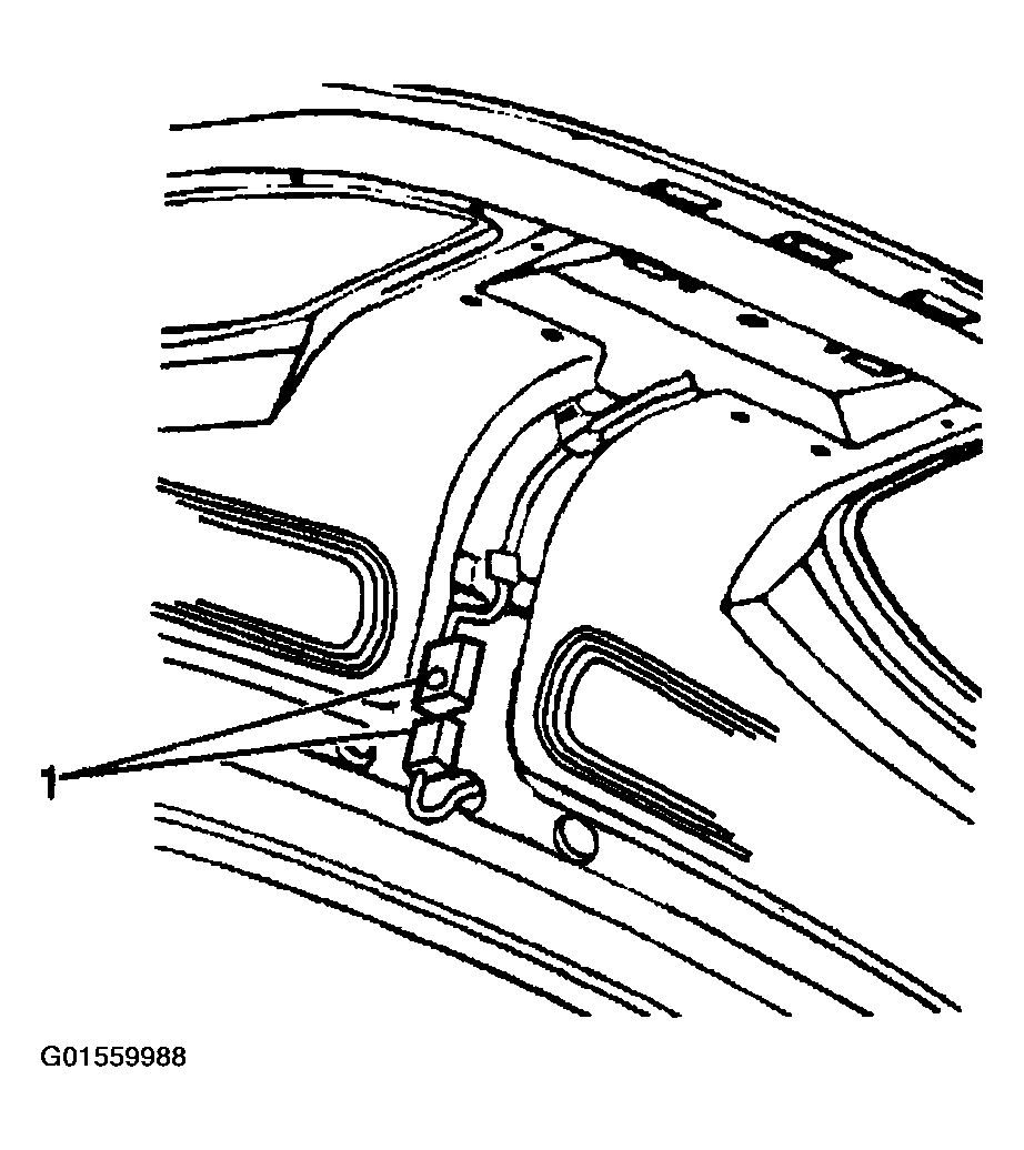 G01559988