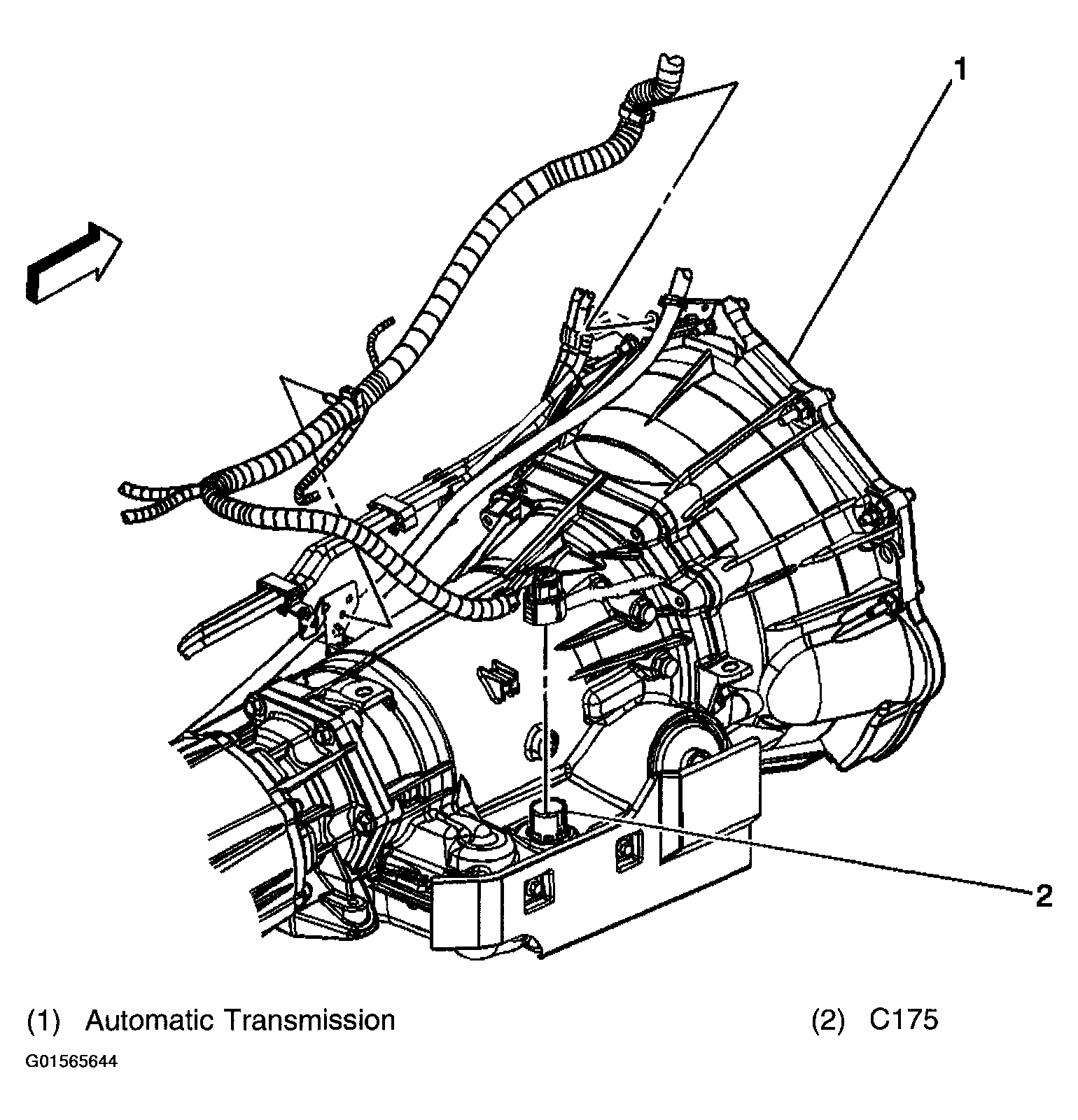 G01565644