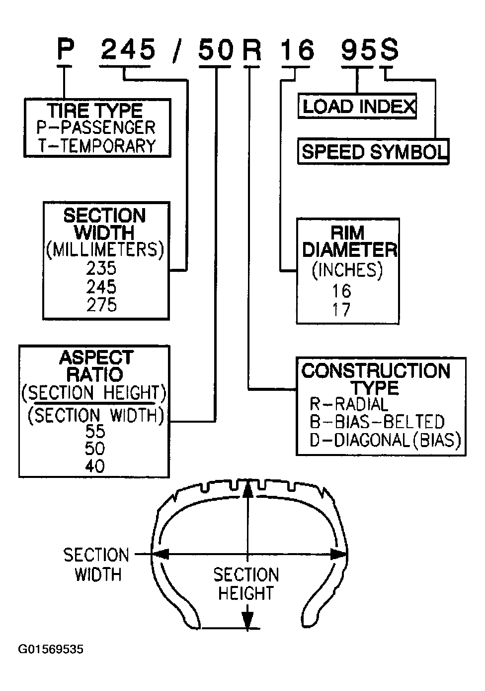 G01569535